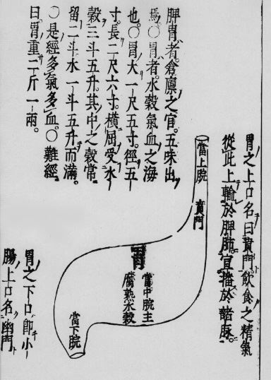 大阪　鍼灸院（針灸院）